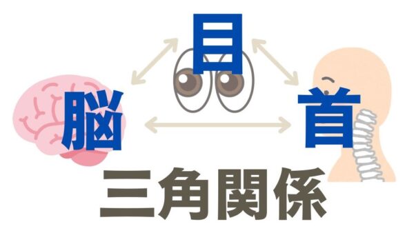 目と脳と首の三角関係